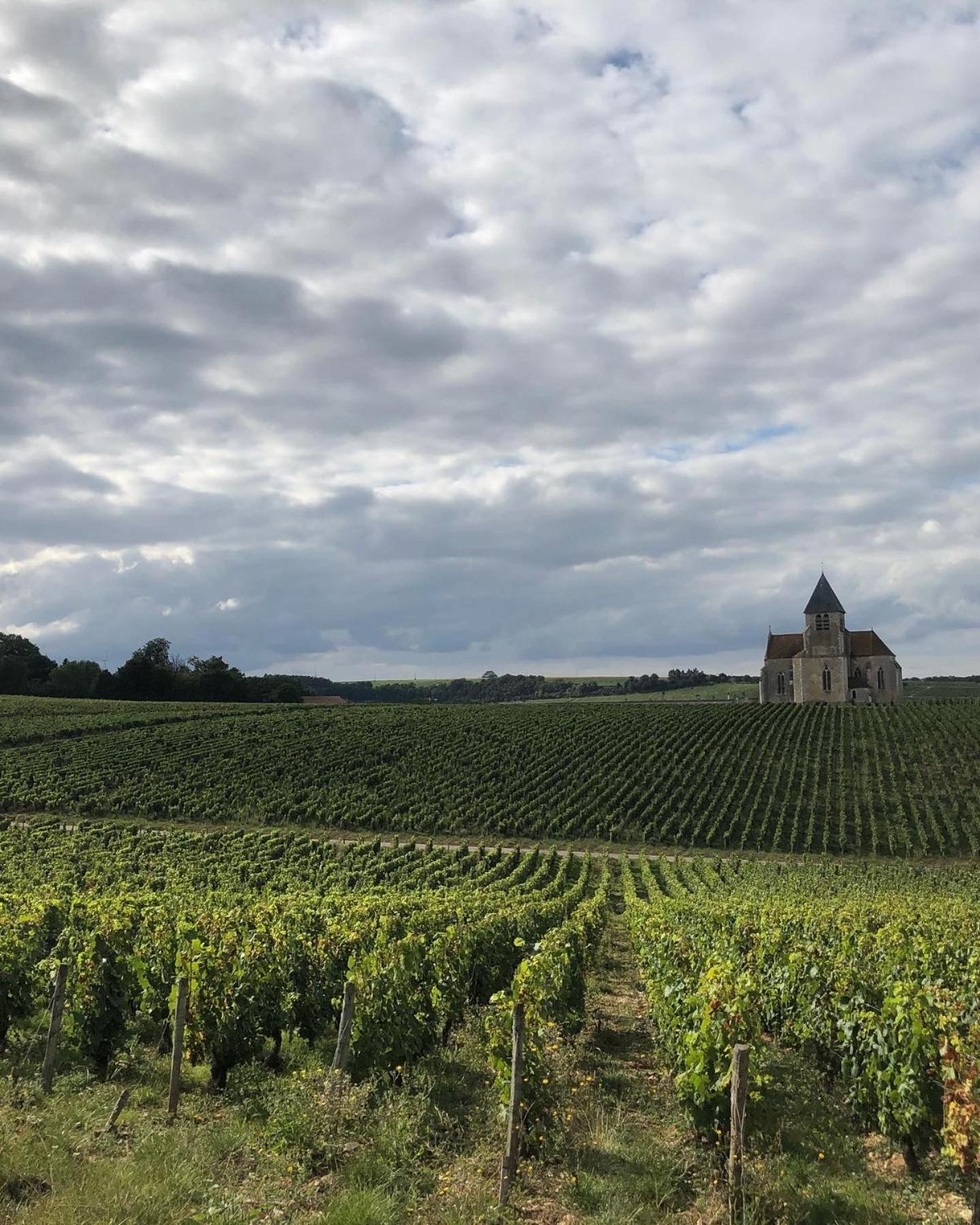 Maison De Pauline, Chablis Vineyard Préhy Cameră foto
